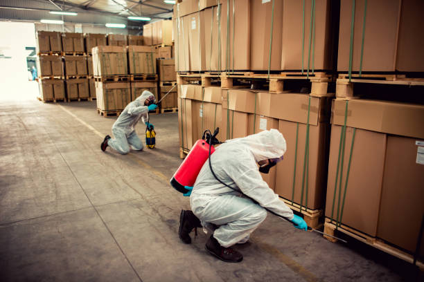 Best Ant Control Services  in Webster, SD