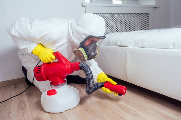 Best Pest Control Near Me in Webster, SD