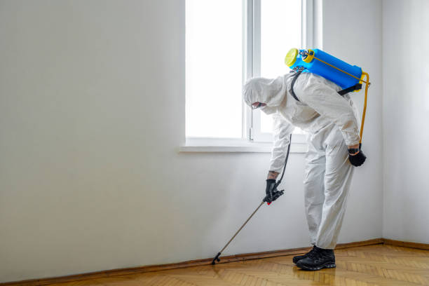 Best Wildlife Control Services  in Webster, SD