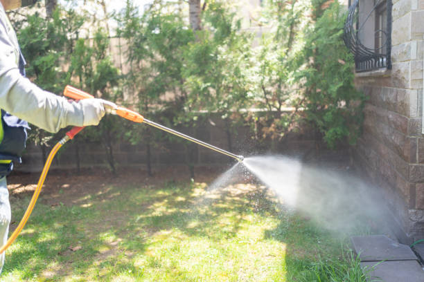 Best Best Pest Control Companies  in Webster, SD