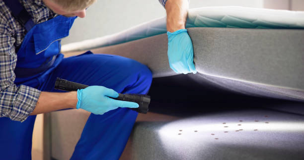 Best Local Pest Control Services  in Webster, SD
