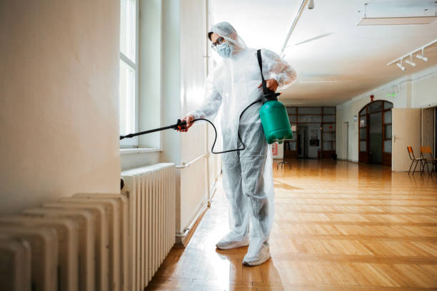 Best Mosquito Control Services  in Webster, SD