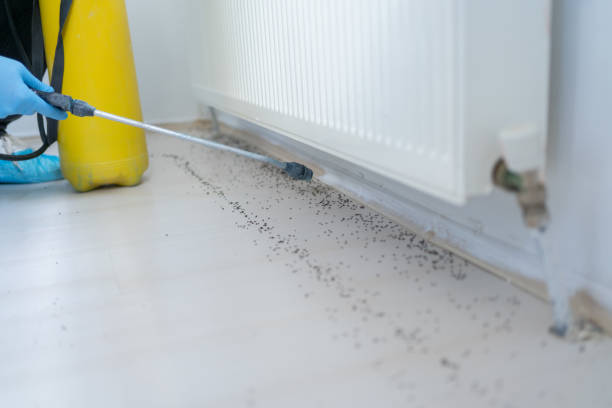 Best Emergency Pest Control  in Webster, SD