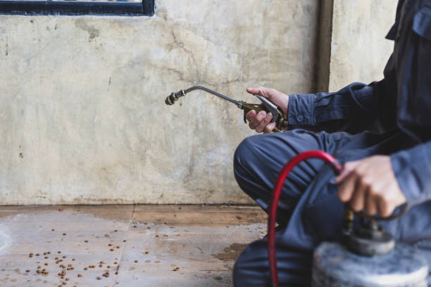 Best Best Pest Control Near Me  in Webster, SD