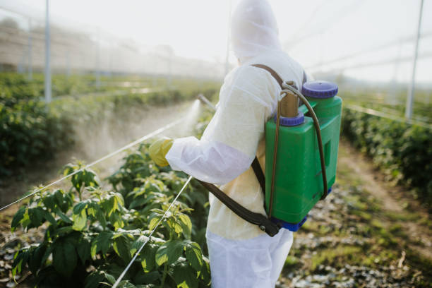 Best Commercial Pest Control Services  in Webster, SD